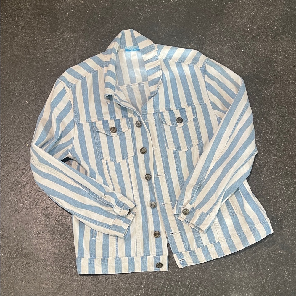 Show Me Your Mumu Striped Blue and White Denim Jacket